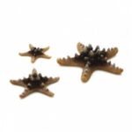 BiOrb Rozgwiazdy naturalne, zestaw 3