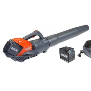 Oleo-Mac BVI 60 - Dmuchawa akumulatorowa 40V (Zestaw 1x 2,5 Ah)