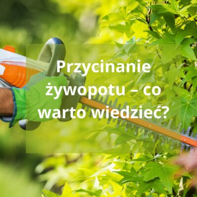 Jak i kiedy przycinać żywopłoty?