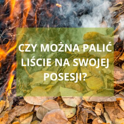 CZY MOŻNA PALIĆ LIŚCIE NA SWOJEJ POSESJI?