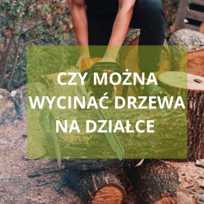 CZY MOŻNA WYCINAĆ DRZEWA NA DZIAŁCE