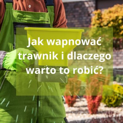 Wapnowanie trawnika. Kiedy wapnować trawnik? Co daje wapnowanie trawnika? Jak wapnować trawnik?