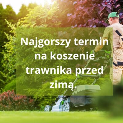 Najgorszy termin na koszenie trawnika przed zimą. Opłakane skutki