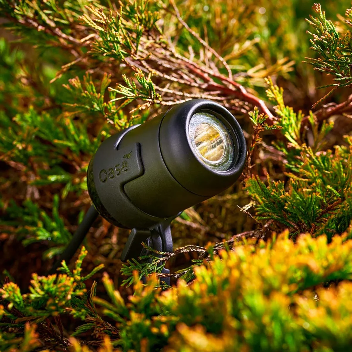 Oase LunAqua Connect M Set 3 - Do ogrodu i oczka wodnego IP68 i technologia połączeń IP67 do stosowania na rabatach kwiatowych, wzdłuż żywopłotów, do oczek wodnych i elementów wodnych