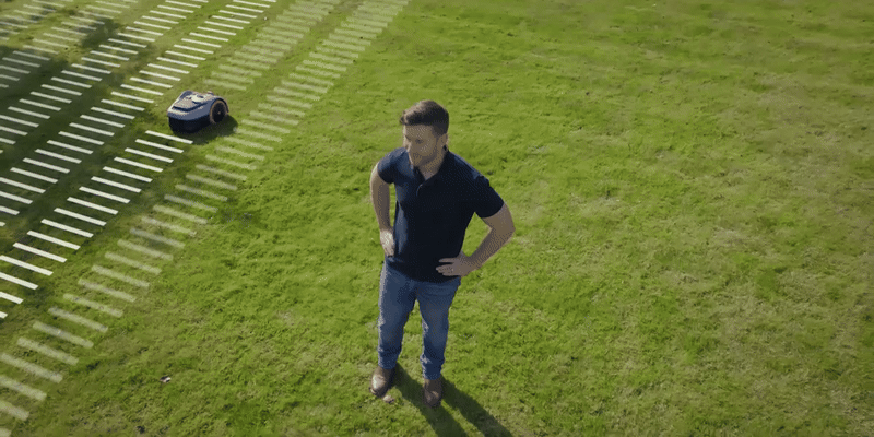 Skuteczna i bezbłędna pielęgnacja trawnika