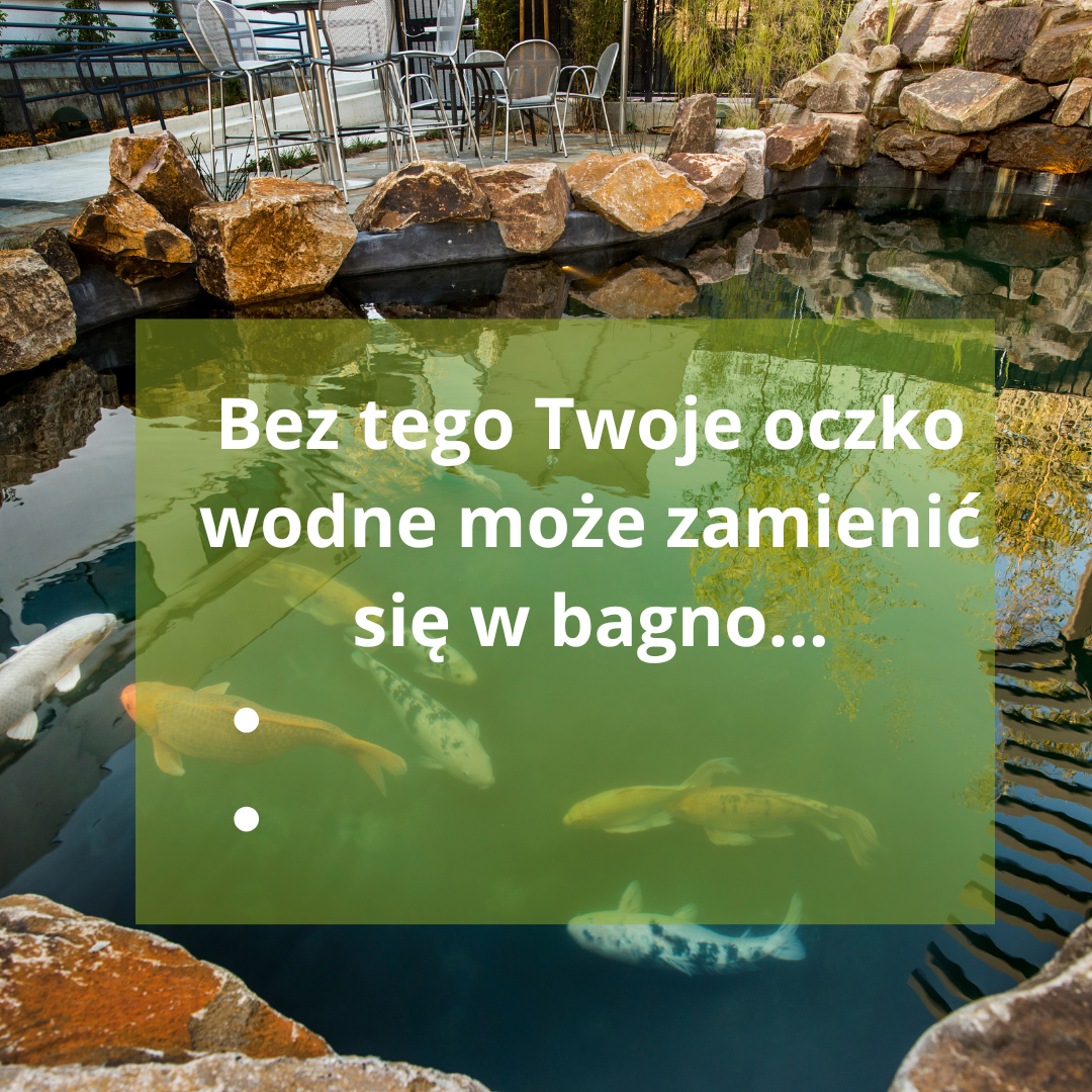 skimmer do oczka wodnego