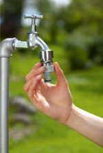 Zrzut ekranu 2026-02-05 113120