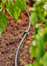 Zrzut ekranu 2026-02-06 134518