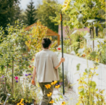 Zrzut ekranu 2026-02-19 133447