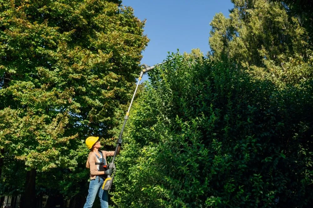STIGA MT 500e – multi-tool akumulatorowy podczas pracy przy wysokim żywopłocie