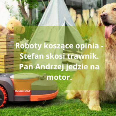 Roboty koszące opinia - Stefan skosi trawnik. Pan Andrzej jedzie na motor.