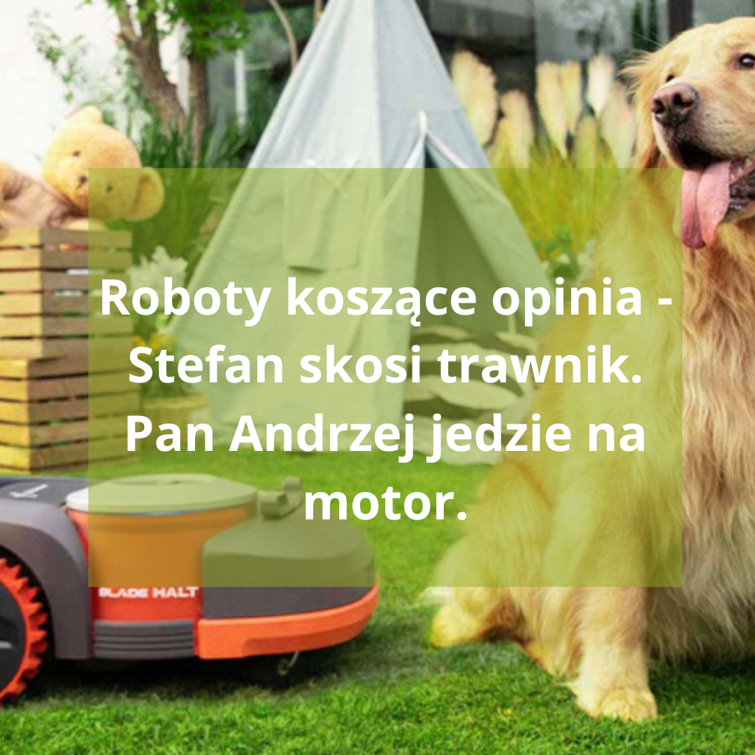 Roboty koszące opinia - Stefan skosi trawnik. Pan Andrzej jedzie na motor.